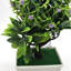 27cm Faux Bonsai Topiary in Vase
