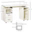 Altheda Computer Desk-1668204002