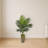 Kentia Artificial Palm Tree in Green Planter