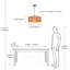 1 - Light Chandelier