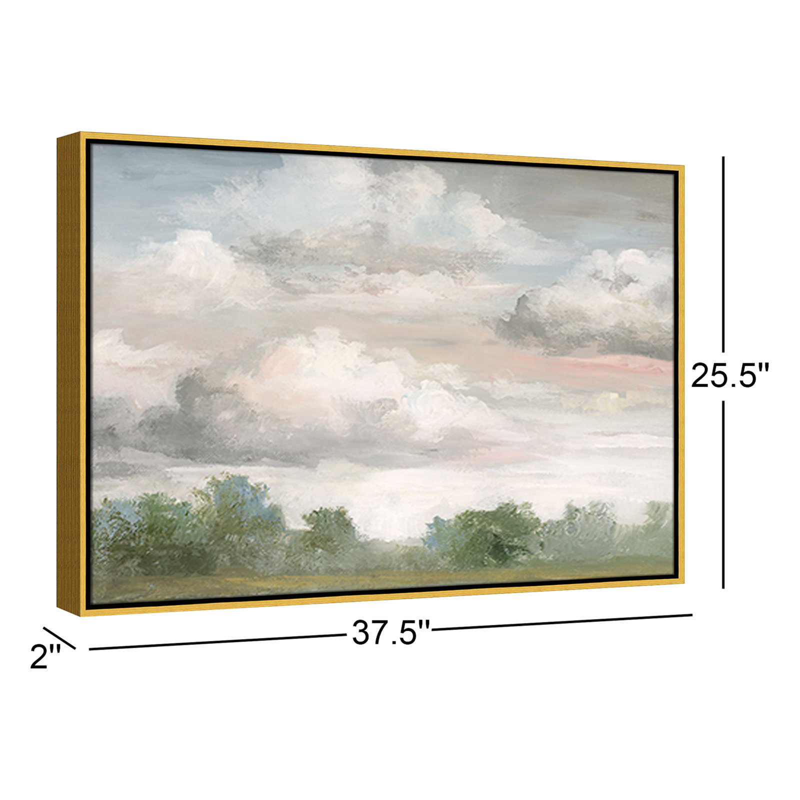 Frangia "Pastel Morning Sky" Print by Nan, 25.5" H x 37.5" W x 2" D, Gold Framed