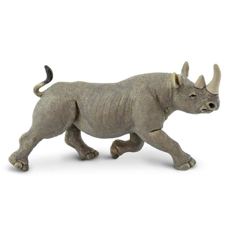 Rhinocéros noir