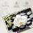 Harnek White Orchid-107501789