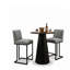 Ensemble de salle à manger moderne à hauteur de comptoir 30 po avec 2 tabourets de comptoir rembourrés Modern-1354687864