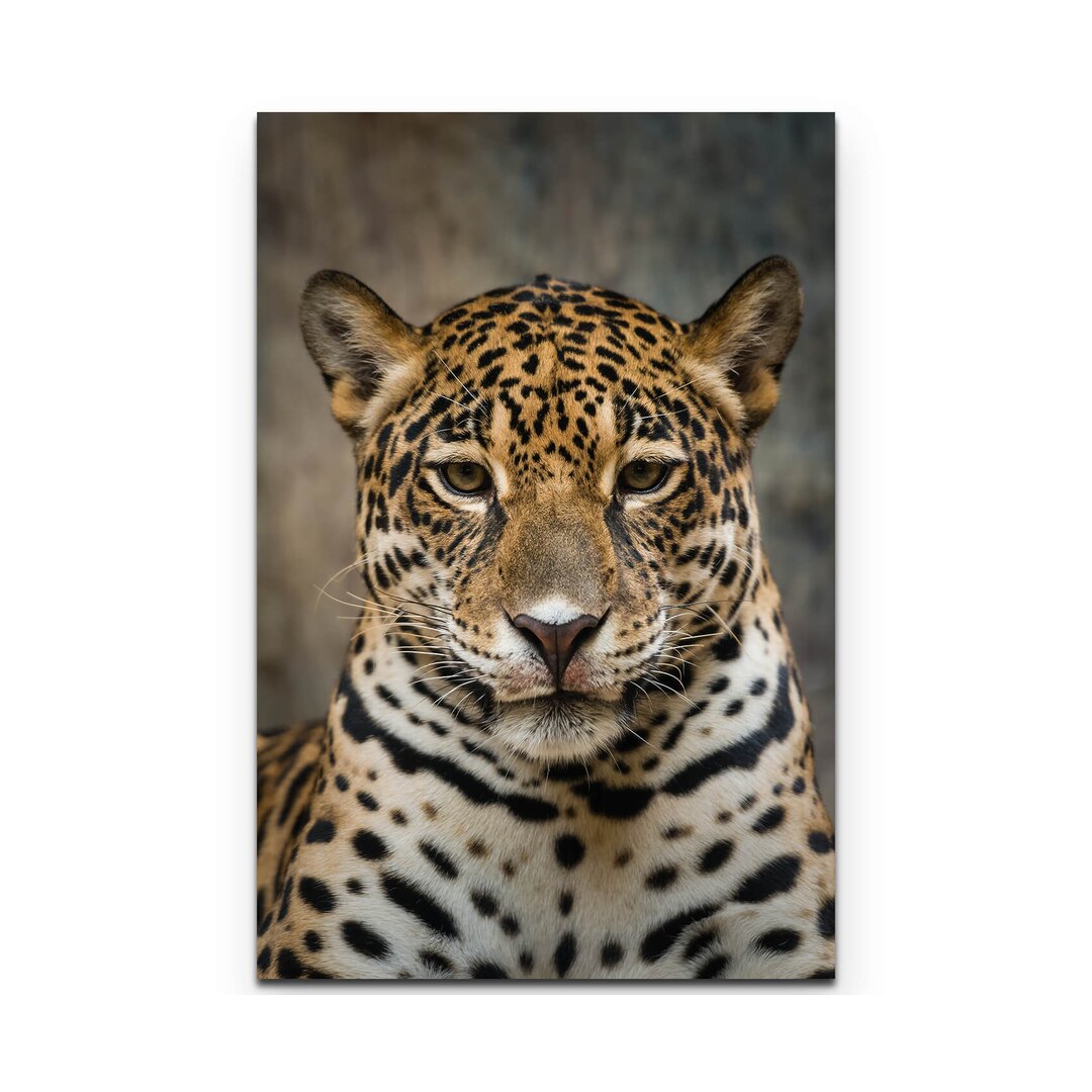 Leinwandbild Portrait eines Jaguar