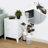 15.74'' Wide 2 - Shelf Storage Cabinet