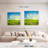 Alvord Summer Green Fields