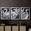 ANIMALS Series IV - Toile tendue avec châssis tendue, 3 pièces-822484380-822484382