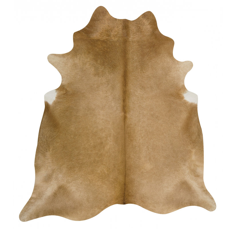 Amet Cowhide Indoor Rug, 5' x 7'