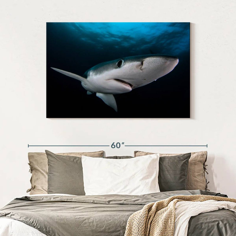Brampt Underwater Blue Shark, 32" H x 48" W