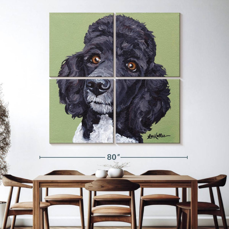 Caniche Brampt standard Tommy, H 74 po x l 74 po