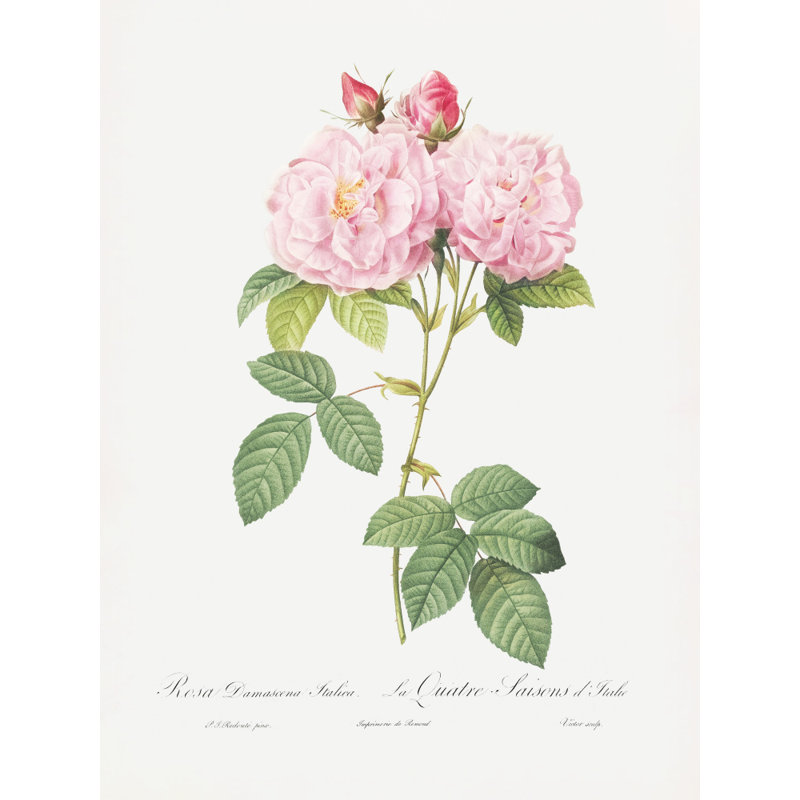 Wrapped Canvas Print, 121.92 cm H x 81.28 cm W