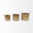 Three Posts™ Mehaffey Wicker Decorative Basket