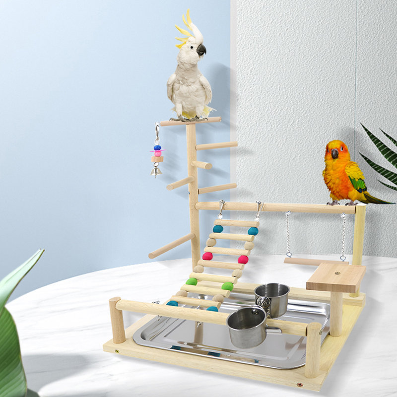 One-of-a-Kind 17.3'' Wood Bird Play Gym for Table Top