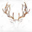 Tête de cerf aspect bois - reproduction encadrée rustique pour la maison-1873072151-1873072148