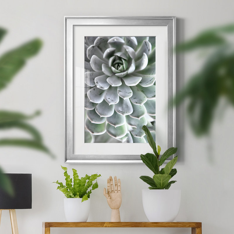 «Zen Succulent IV» par Irene Weisz - reproduction de photo sur papier encadrée, Encadrement argenté
