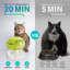 Jouet pour chat