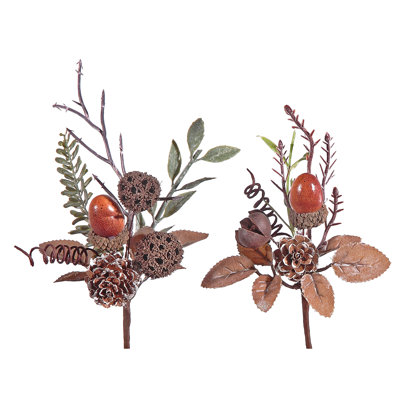 Tiges mélangées Pinecone Acorn