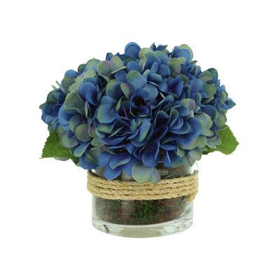Hydrangea in Glass vase with Moss