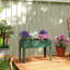 Planter-1060769159