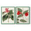 Impression encadrée FloraOf TheTropicsI-Premium - prête à être accrochée - aucun clou requis - aucun clou requis-108001200-108001197