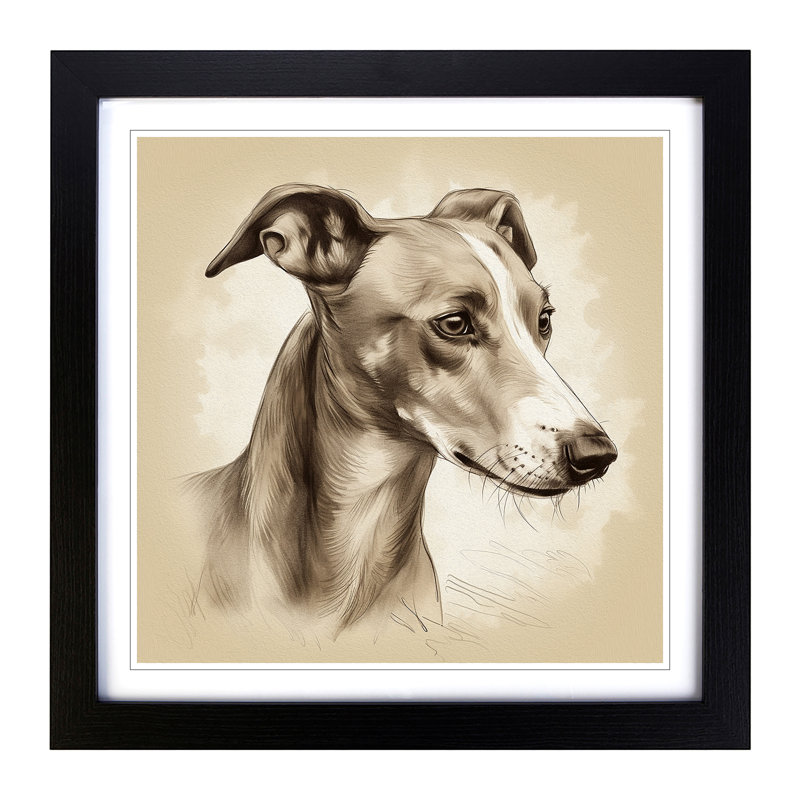 Whippet Drawing - Framed Print, Black