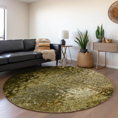 Premium Machine Washable Cerrito AMF565 Brown Rug
