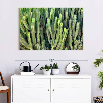 Couleurs Harnek du Pérou - Cactus