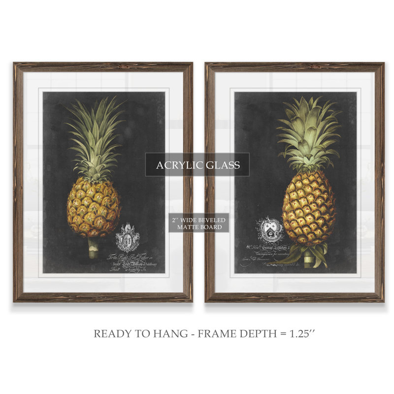 «Royal Brookshaw Pineapple I» par Vincent Van Gogh, ensemble de 2 reproductions d'art encadrées, Papier avec encadré espresso