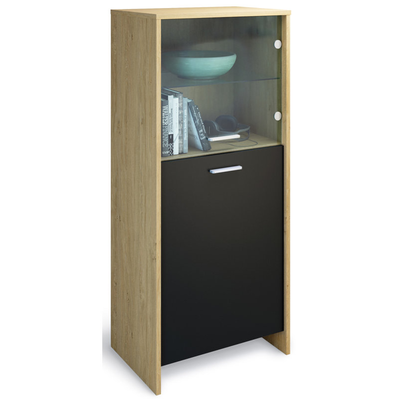 Dunnavent Display Cabinet, Black/Oak