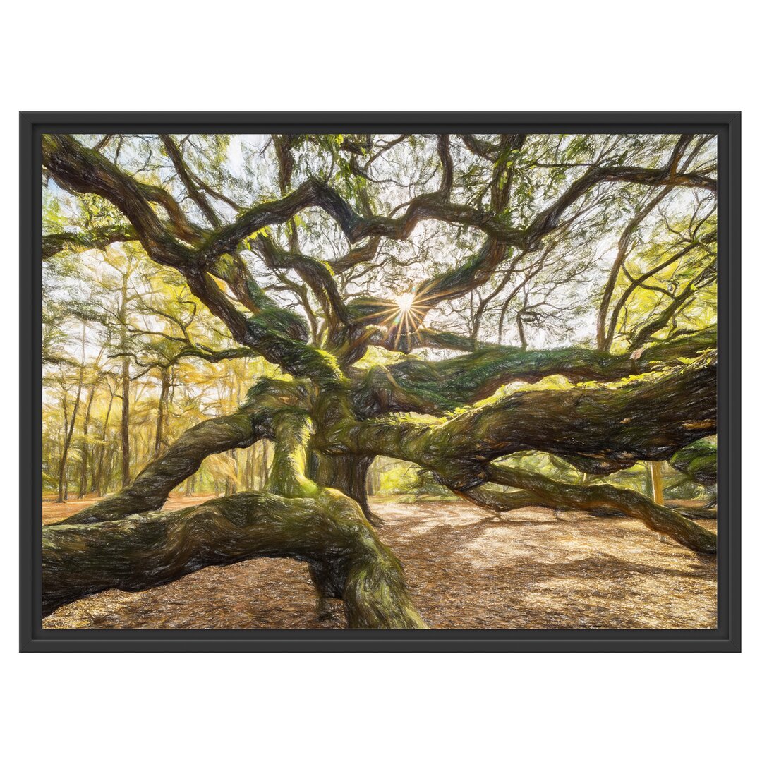 Gerahmtes Poster Gigantischer verzweigter Baum