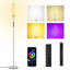 66.14" RGBCW Metal Wire Floor Lamp Smart Lamp With Touch Switch And Remote Control-118033349