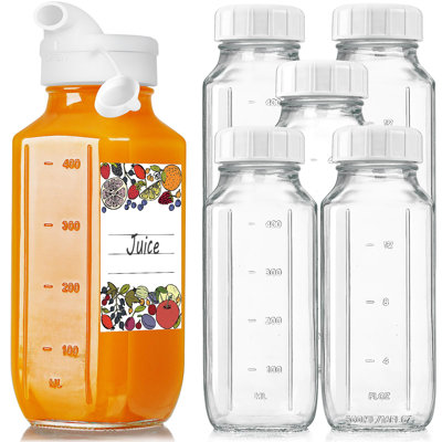 WRINGKIT 2-Pack 12 Oz Glass Bottles With Lids - Wide Mouth, Leakproof, With Markings & Brush