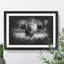 Lion Vol.5 - Picture Frame Graphic Art-62802653-62802656