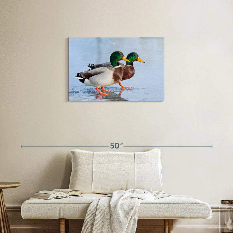 Brampt Mallard Duck Duo, 20" H x 30" W