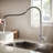 Casa Eclat Pull Down Kitchen Faucet-101803899