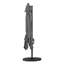 Arale 250cm Lighted Cantilever Parasol