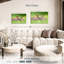 Embrasser des lapins-704445602