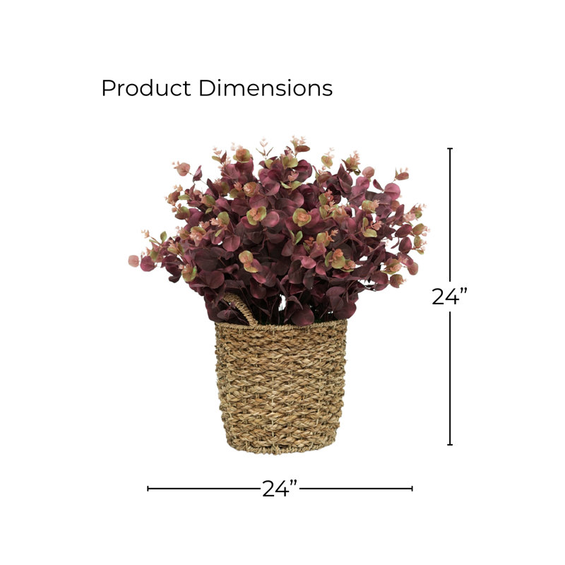 Buisson d'eucalyptus brun 24 po dans un panier d'herbes marines naturelles, Brun