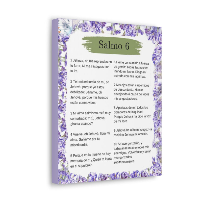 Art textuel sur toile tendue Salmo 6, H 16 po x l 12 po x P 1,25 po