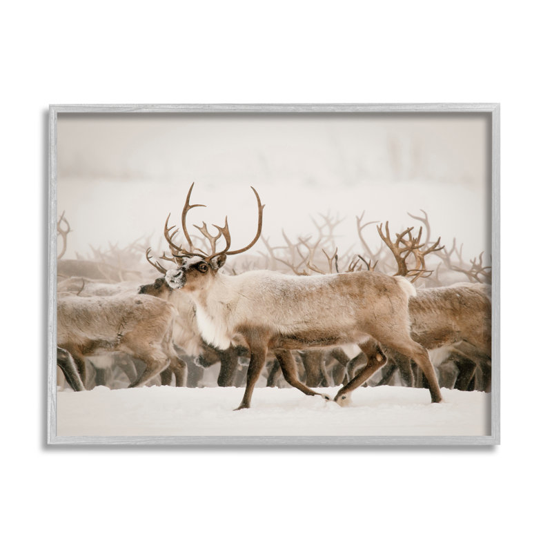 «Elk Herd Snowy Winter Scene» par Krista Broadway - photographie à cadre flottant sur bois, H 11 po x l 14 po x P 1,5 po