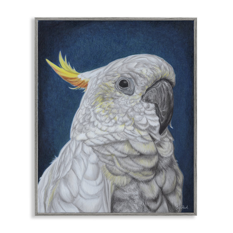Art de giclée traditionnel de cacatoès par Connie Resch, Estampe numérique Farmhouse, H 30 po x l 24 po