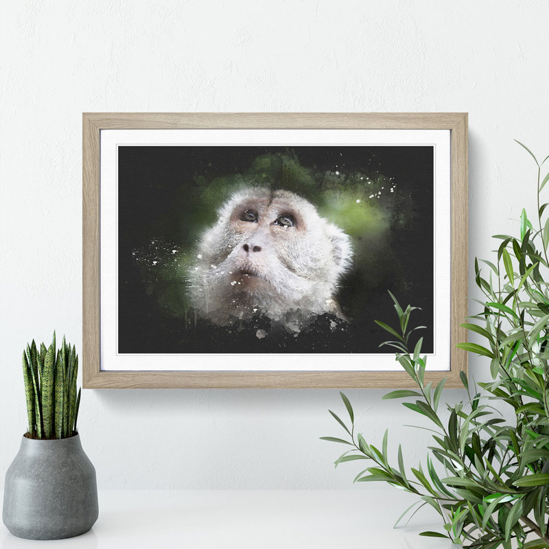 Macaque Monkey - Picture Frame Graphic Art, Oak Framed, 48cm H x 65cm W x 2cm D