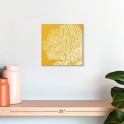 Corail satiné Brampt I