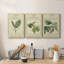 Linnaean Botany IV - ensemble de 3 impressions sur toile tendue-282748215