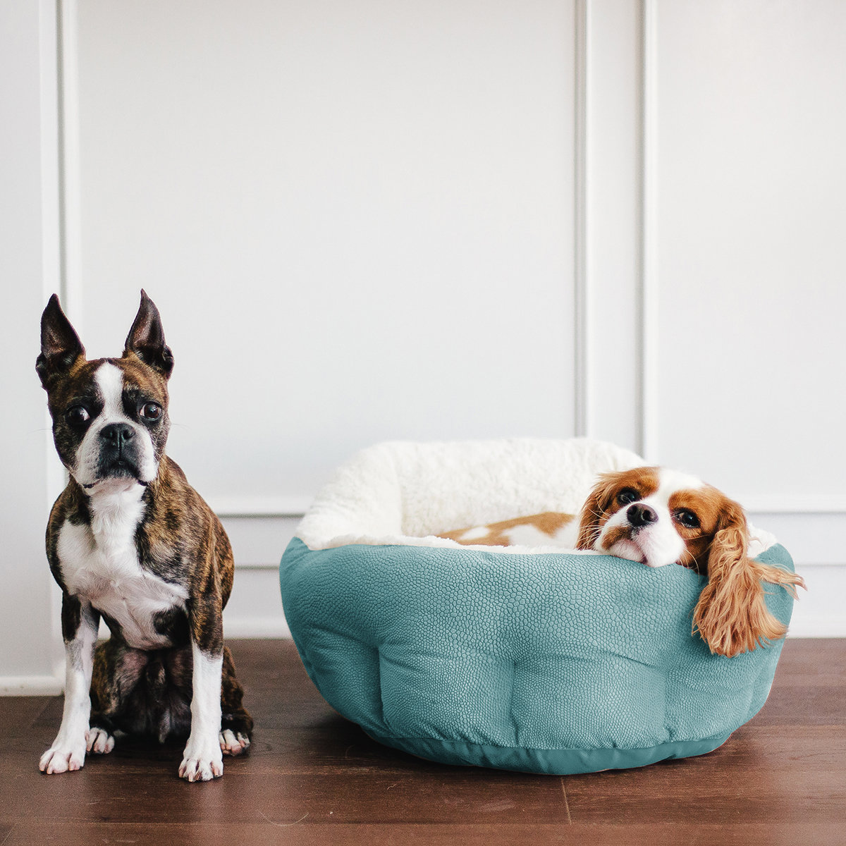 Pet Bed Best Friends By Sheri Orthocomfort Deep Dish Cuddler Deep