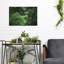 «Rainforest Canopy» par Nicklas Gustafsson-101602671