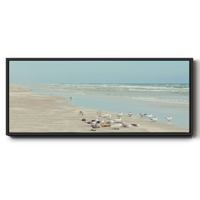 Padre Island Shore Birds - toile encadrée, H 12 po x l 30 po