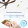 Wood Ceiling Fan No Light With Remote Control, Low Profile Ceiling Fan Without Light,Noiseless Reversible Dc Motor With Timer