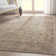 Ervin Juliette Vintage Persian Oriental Beige Flat-Weave Rug